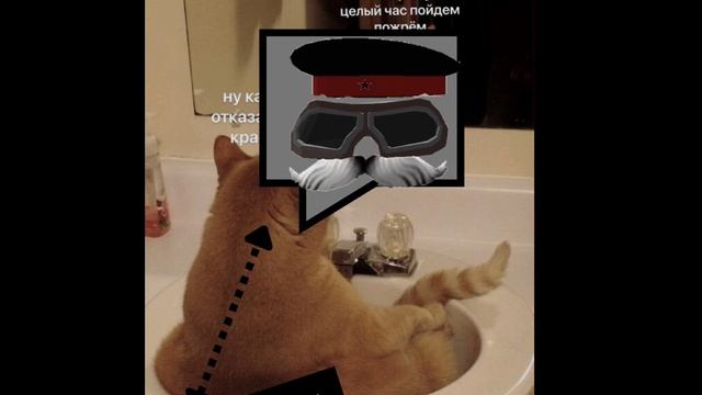 типичное видео романа24к
(правда) и чекай отписане