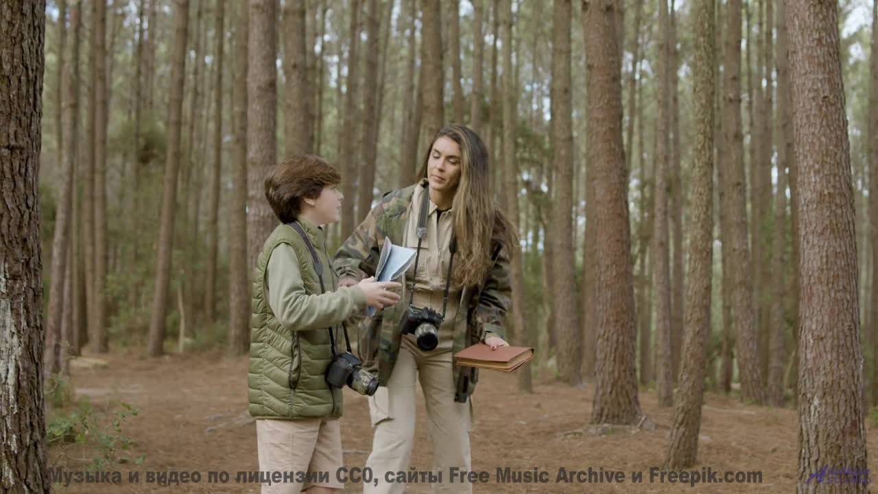 Пейзажи двигаются в ритме чистой свободы - Inakzeptabel -- Berstgefahr -- Berstgefahr