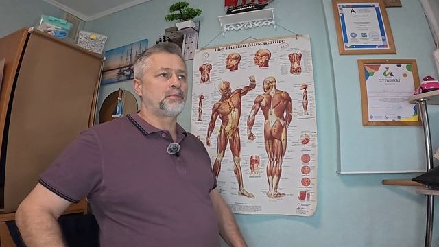 Краткий обзор по мышцам