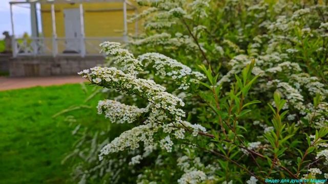 Музей-заповедник "Коломенское". Дыхание прошлого!