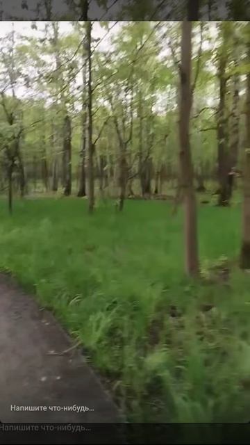 1000060237.mp4