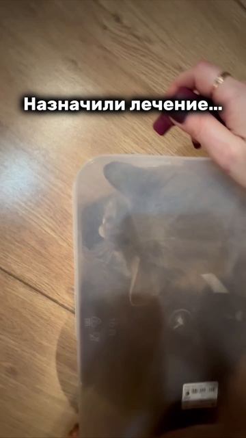 Хочешь получить видеоурок? Переходи в комментарии