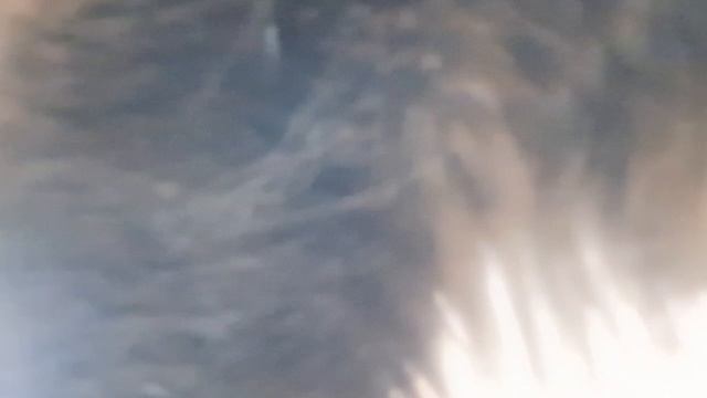длиииииииииииинное видео 💫