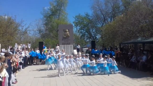 Голубь мира