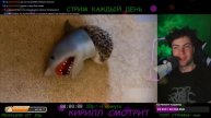 Приколы с котами! С ОЗВУЧКОЙ! САМЫЕ СМЕШНЫЕ ЖИВОТНЫЕ! ДО СЛЕЗ! Смешные коты! На реакция