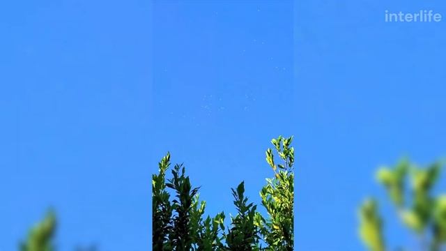 5 НЛО, СНЯТЫХ НА КАМЕРУ (САМЫЕ НОВЫЕ ВИДЕО 2024 ГОДА)