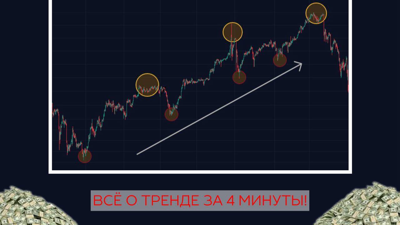 ВСЁ О ТРЕНДЕ ЗА 4 МИНУТЫ! ЛЕГКО!