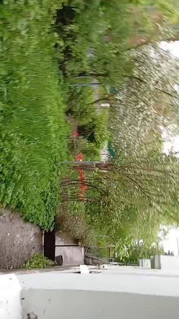 scene_output.mp4