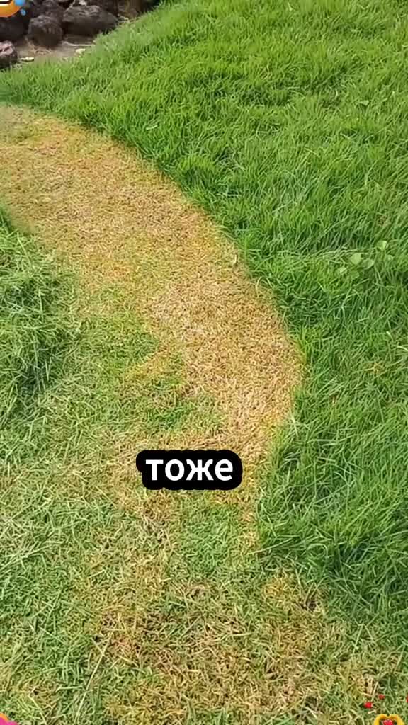 #микромир #микроскоп #наука #подмикроскопом #интересно