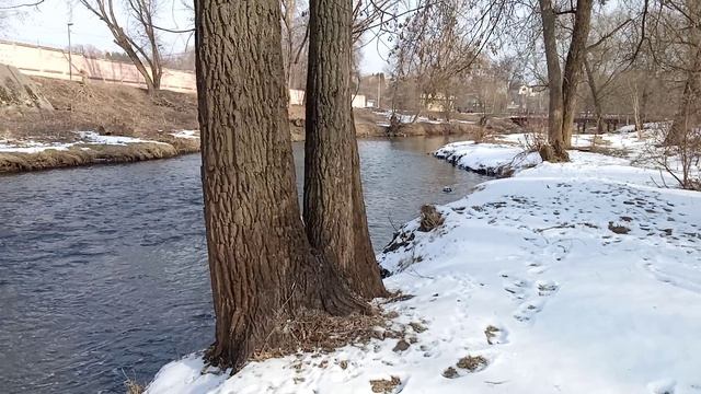 VID_20250301_130509