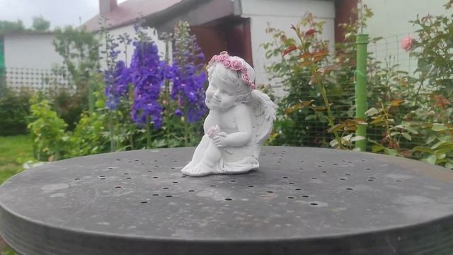 Возвращение в лето: Первое цветение роз | Розарий Анге?