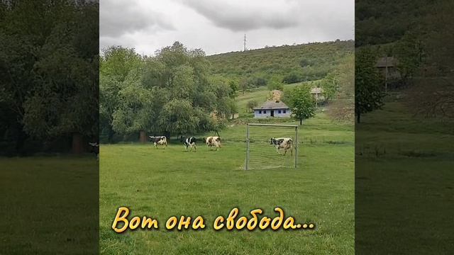 1000073822.mp4