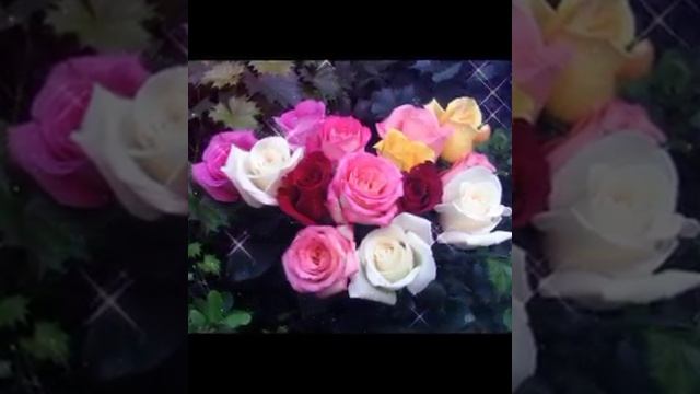 Тебя дороже нет🌹
