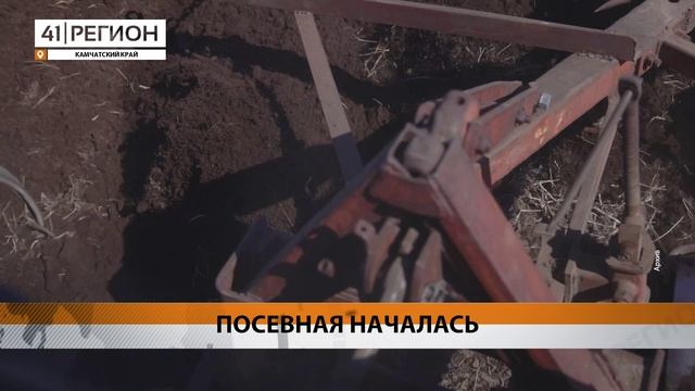 ПОСЕВНАЯ КАМПАНИЯ СТАРТОВАЛА В ЕЛИЗОВСКОМ РАЙОНЕ КАМЧАТКИ • НОВОСТИ КАМЧАТКИ