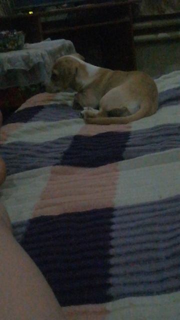 VID_20250430_211445.mp4