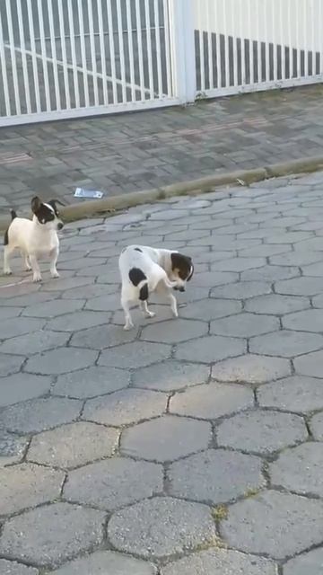 тащу себя на работу