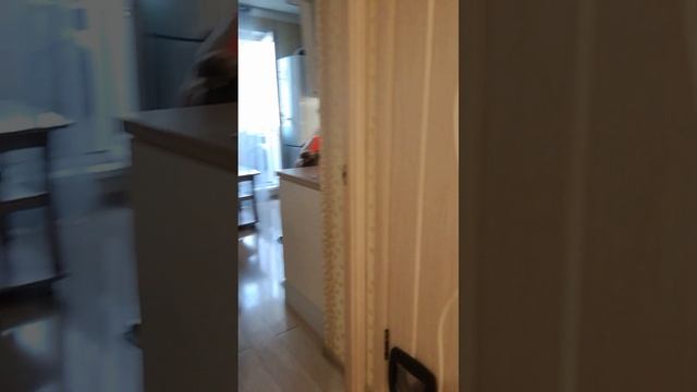Видео Орен
