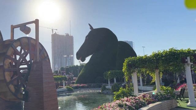 Dubai 2025! Miracle Garden 🌻Самый большой парк цветов мире!