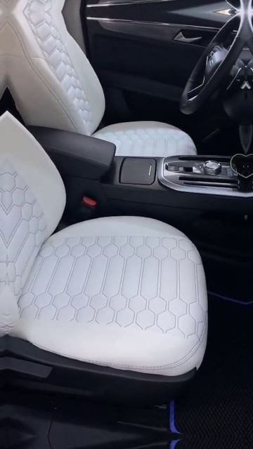 Авточехлы на Haval Jolion