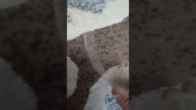 Мыш🐭