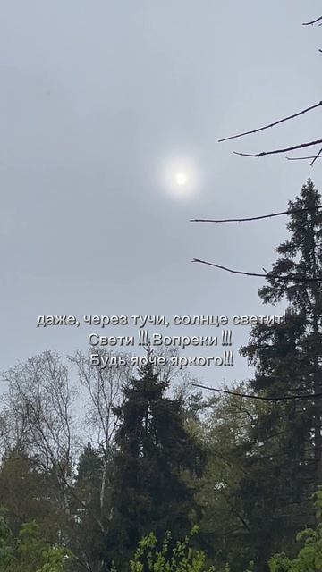 #свети #ярко 
Мотивирую на ПОЖ - позитивный образ жизни