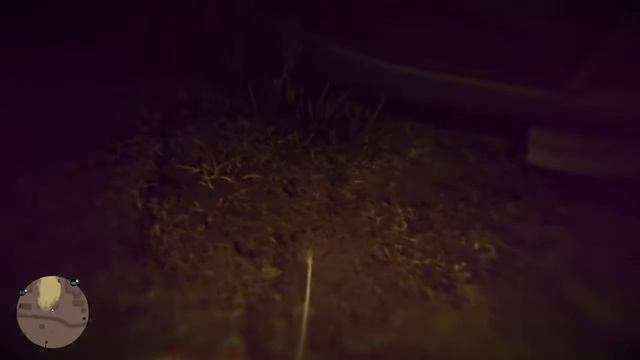 RDR 2 по приколу 3
