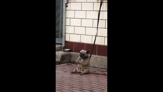 Топ Приколы 2024, ОР ВЫШЕ ГОР !😂