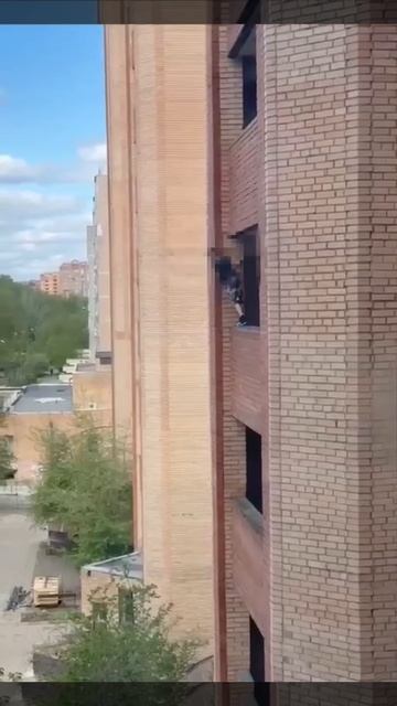 ‼️В Красногорске заметили ребенка, которому по все видимости захотелось острых ощущений‼️