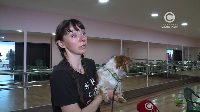 Фестиваль художественного творчества для людей с физическими ограничениями «Мозаика души»