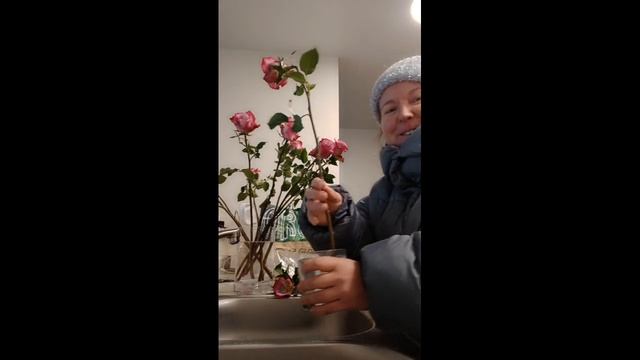 Открывала бутылку без штопора. Купила себе розы. Счита
