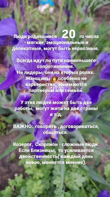люди родившиеся 20го числа