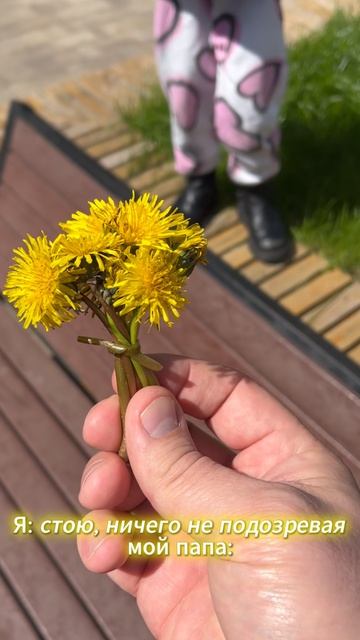 Одуванчики от папы 🥰