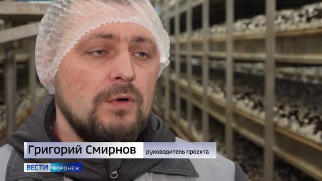 Специалисты ФГБУ ВНИИКР приступили к мониторингу предприятий закрытого грунта в Воронежской области