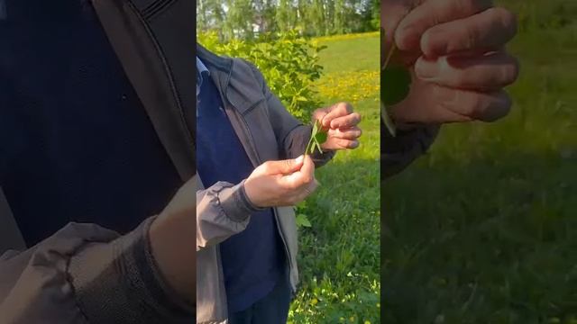 1000621355.mp4