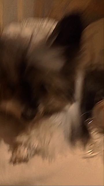 😊