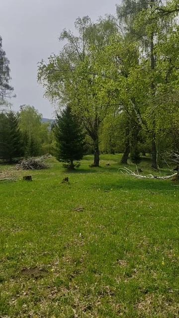 Автопутешествие на Алтай.