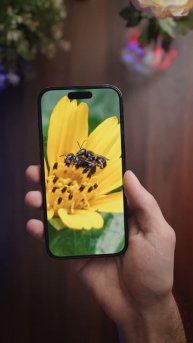 iPhone 14 Pro ProRAW 48MP is pretty great! 🤩