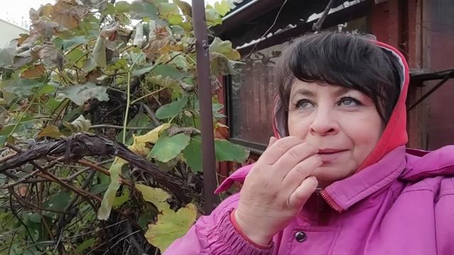 Десерт который любят все. Про мои розы. Все мечтают об ?
