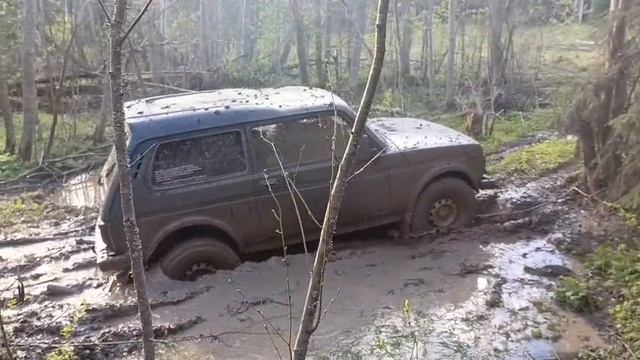 1000018300.mp4
