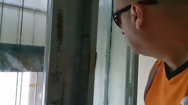 Мото курьер в Вене 🛵 смена пошла по бороде хоте как лу