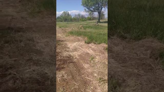 document_5287254305022180120