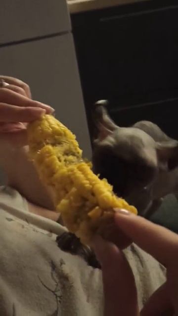Филя и 🌽