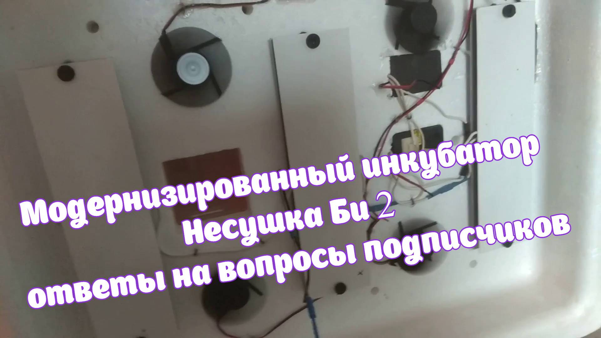 Модернизированный инкубатор Несушка Би 2 ответы на вопросы подписчиков
