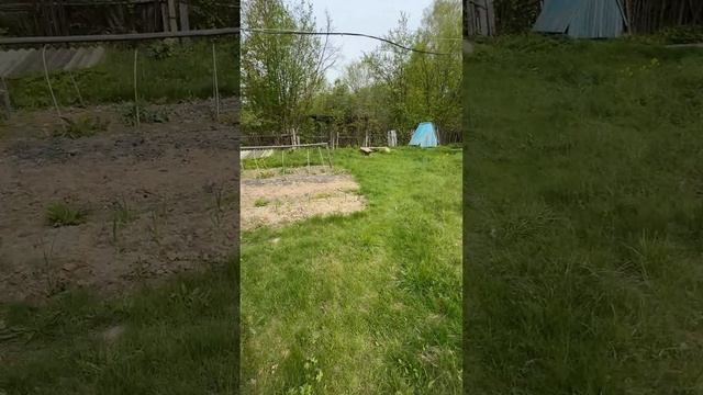 тверская область, д. борцино. Дом у реки Волга, тишина и уют