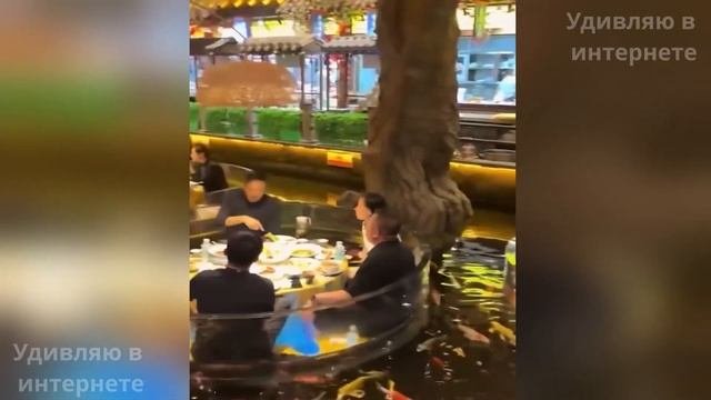 Видео, Которые Кажутся Слишком Невероятными, Чтобы Бы?