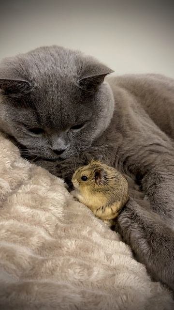 Со старшим братом 😼