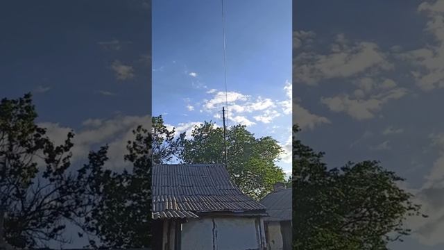 Умерла Оливия...18 мая 2025 г.