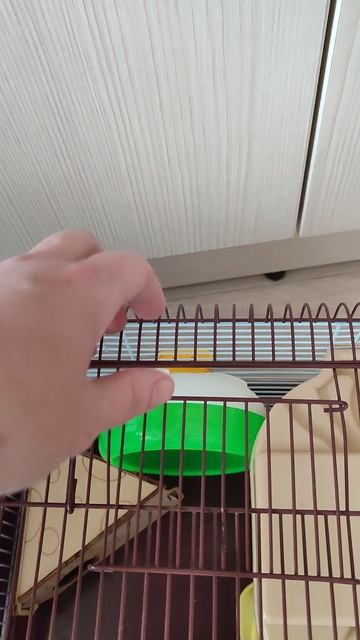 1000053755.mp4
