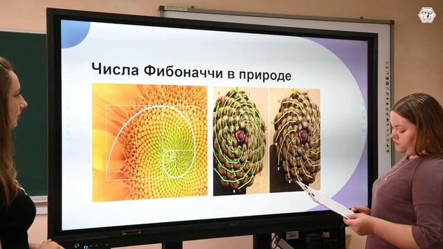Студенты МелГУ разгадывают тайну числа Фибоначчи