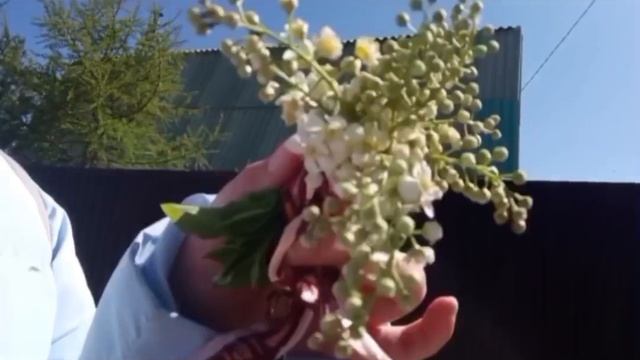 1000835609.mp4